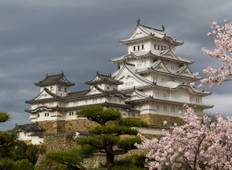 8 Days Japan Delight with Hiroshima Tour