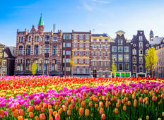 Springtime in Holland, the Romantic Rhine Valley and the Danube (port-to-port cruise) Tour