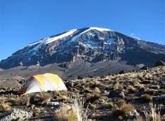 Kilimanjaro climb lemosho route 8 days Tour
