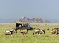5 days Classic Tanzanian Safari Tour