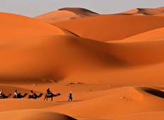 Sahara-Wüstenrundreise - Fes & Marrakech (3 Tage) Rundreise