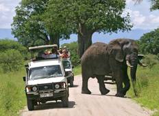 3 days 2 nights Budget Camping Safari without Serengeti Tour
