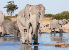 Victoria Falls und Chobe Paket - 3 Nächte/4 Tage Rundreise