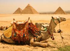 Bewonder Egypte 7 Dagen ( Caïro, Nijlcruise & Slaaptrein Rondreis )-rondreis