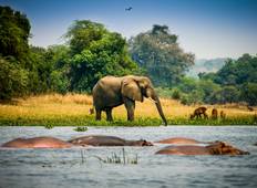 Murchison Falls Nationalpark Wildlife Safari - 2 Tage Rundreise