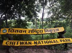 Chitwan Jungle Safari Tour - 3 Days  Tour