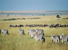 Amboseli & Tsavo - 4 Tage Rundreise