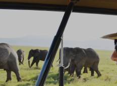 Tansania Budget Camping Safari (5 Tage) Rundreise