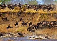 4 Tage, 3 Nächte Masai Mara und Lake Nakuru Group bei Safari Rundreise