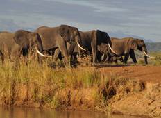 Safari van 3 dagen naar Tarangire, Lake Manyara en de Ngorongorokrater-rondreis