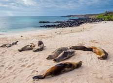 Galapagos Inselhopping - 6 Tage Rundreise
