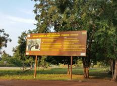 3 Tage Ausflug zum Mole National Park Rundreise