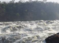 4 Tage Sonderangebot Murchison-Falls-Nationalpark Rundreise