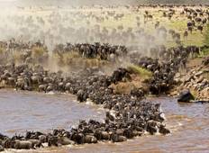 Kenia und Tansania Safari Rundreise
