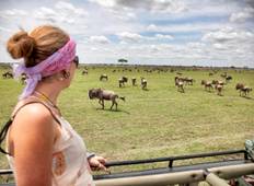 7 Days 6 Nights  Migration  Wildlife Safari Tour