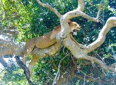 10-tägige Gruppe/Kulturtour und Wildlife-Safari Rundreise