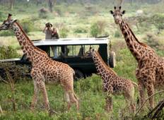 Das Beste von Kenia & Tansania Safari (15 Tage) Rundreise