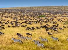 3-Day Maasai Mara Safari at Sopa Lodge from Nairobi Tour