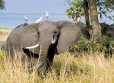 2 NIGHTS CHOBE Tour