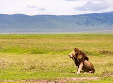 Manyara, Ngorogoro Krater, Tarangire - Camping Safari (3 Tage) Rundreise