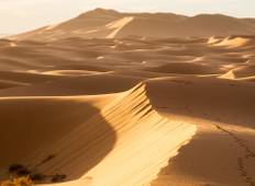 6-daagse kamelentocht Marokko Erg Zahar-rondreis