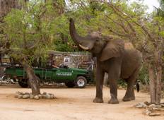 Klassische Kruger Park Safari - 6 Tage Rundreise