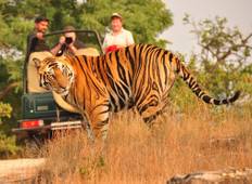 Golden Triangle Tour with Ranthambore Tour