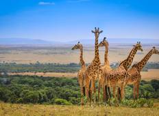10 Dagen Serengeti - Masai Mara Half Overnachting (Half Camping & Half Tented Camps)-rondreis