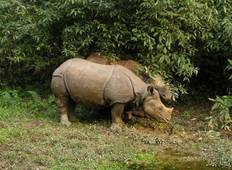 Classic Nepal Tour Tour