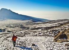 Kilimandscharo: 7 Tage auf der Lemosho Route Rundreise