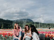 Holland & Belgium Tulip River Cruise (Amsterdam - Brussels - Amsterdam) - MS Crucevita 5* Tour