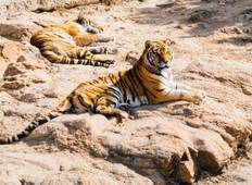 Goldenes Traingle mit Ranthambore Rundreise