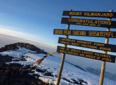 Kilimanjaro Besteigung über die Lemosho Route (8 Tage) Rundreise