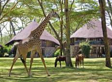 Das Beste von Kenia - Privat-Luxu-Safari - 10 Tage Rundreise