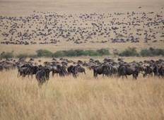 Safari: Das Beste aus Ostafrika (11-Tage) Rundreise