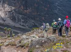 8 Days Kilimanjaro Climb Lemosho Route Tour