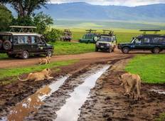 6 dagen Tanzania Safari & Bosjesmannen Tour-rondreis