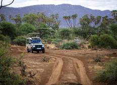 5 Dagen Kenia Luxe Safari-rondreis