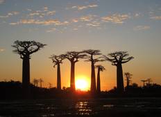 Madagascar 9 Days Baobabs and Lemurs Tour Tour