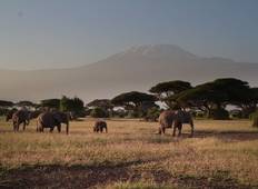 Kenia und Tansania Rundreise (Private Luxussafari, 13 Tage) Rundreise