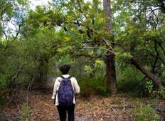 Pakket-vrij Kamperen: Regenwoud Eco Wandeltocht - 3 Dagen-rondreis