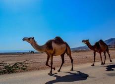 Beauty of the Sultanate 3 Days – Oman Tour Package Tour