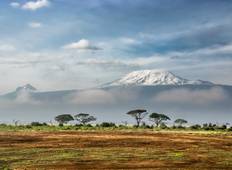 Kilimanjaro-Gipfel über die Lemosho-Route und Zelt-Camping-Safari Rundreise