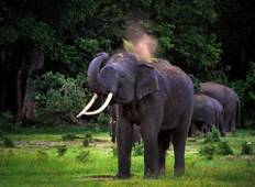 Private Sri Lanka Wildlife Tour 2023 Tour