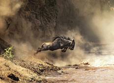 Tierwanderung Safari Kenia und Tansania Rundreise 2022 Rundreise