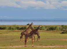 Klassiek Kenia en Tanzania-rondreis