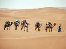 7 Days Camel Trek to Erg Zahar Tour