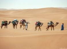 Kameltrekking in der Wüste Sahara (5 Tage) Rundreise