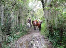 6 dagen paardrijden en plaatselijke cultuur-rondreis