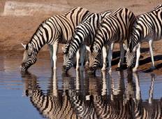 Nördliches Wildtier-Erlebnis - Gruppen-Safari - 6 Tage Rundreise